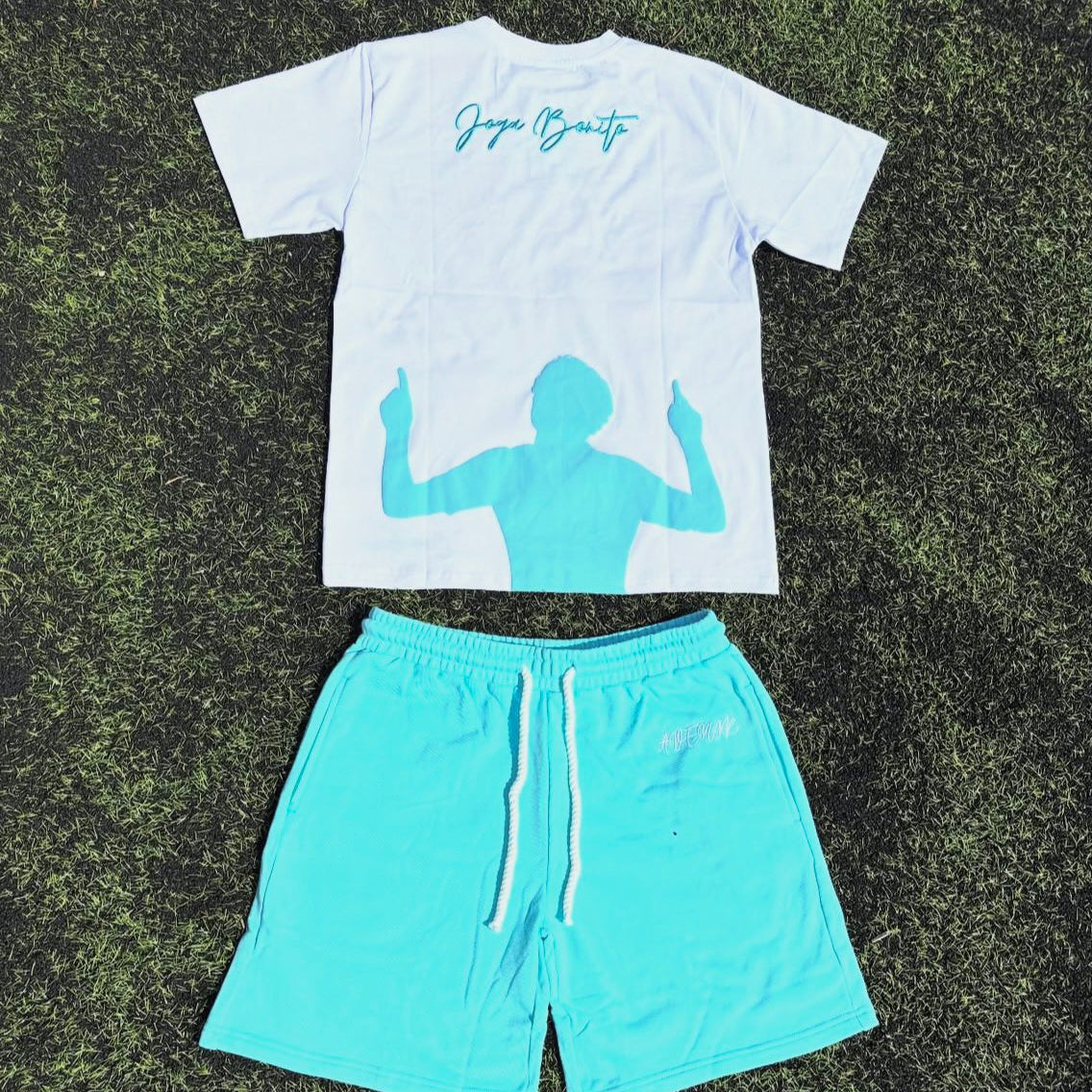 ENSEMBLE BRAZIL