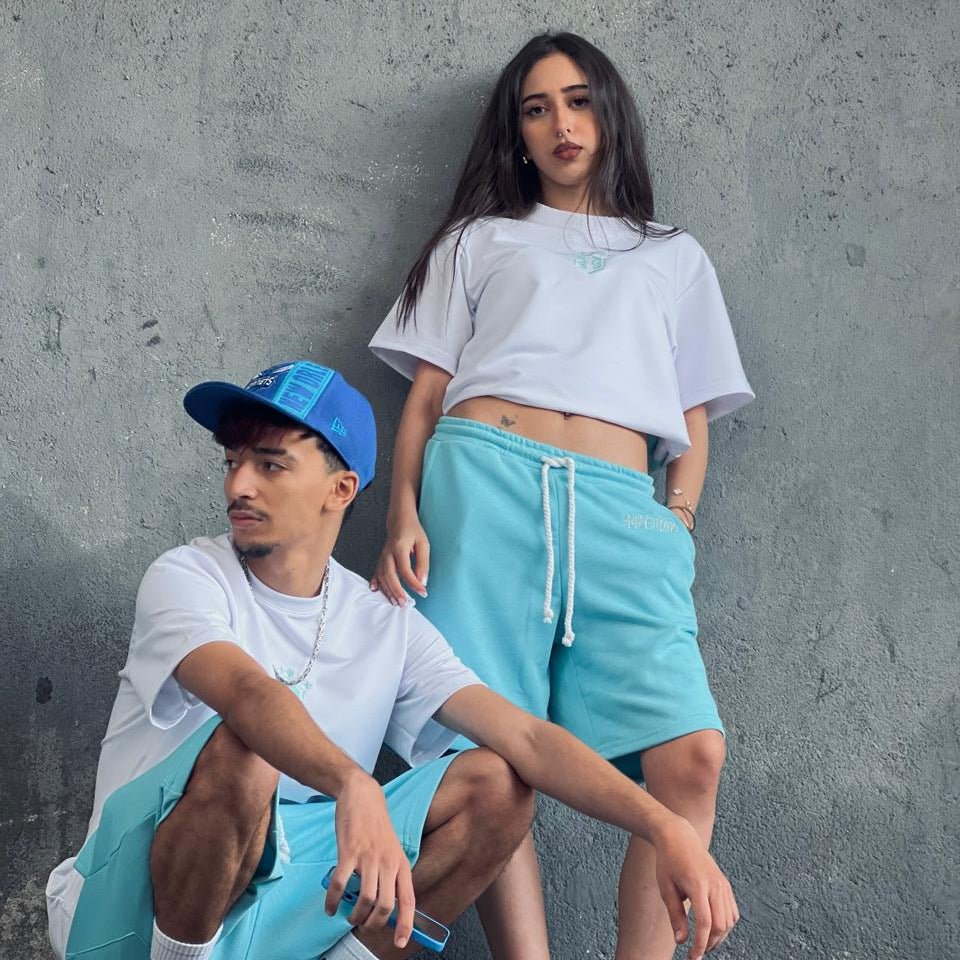 ENSEMBLE BRAZIL